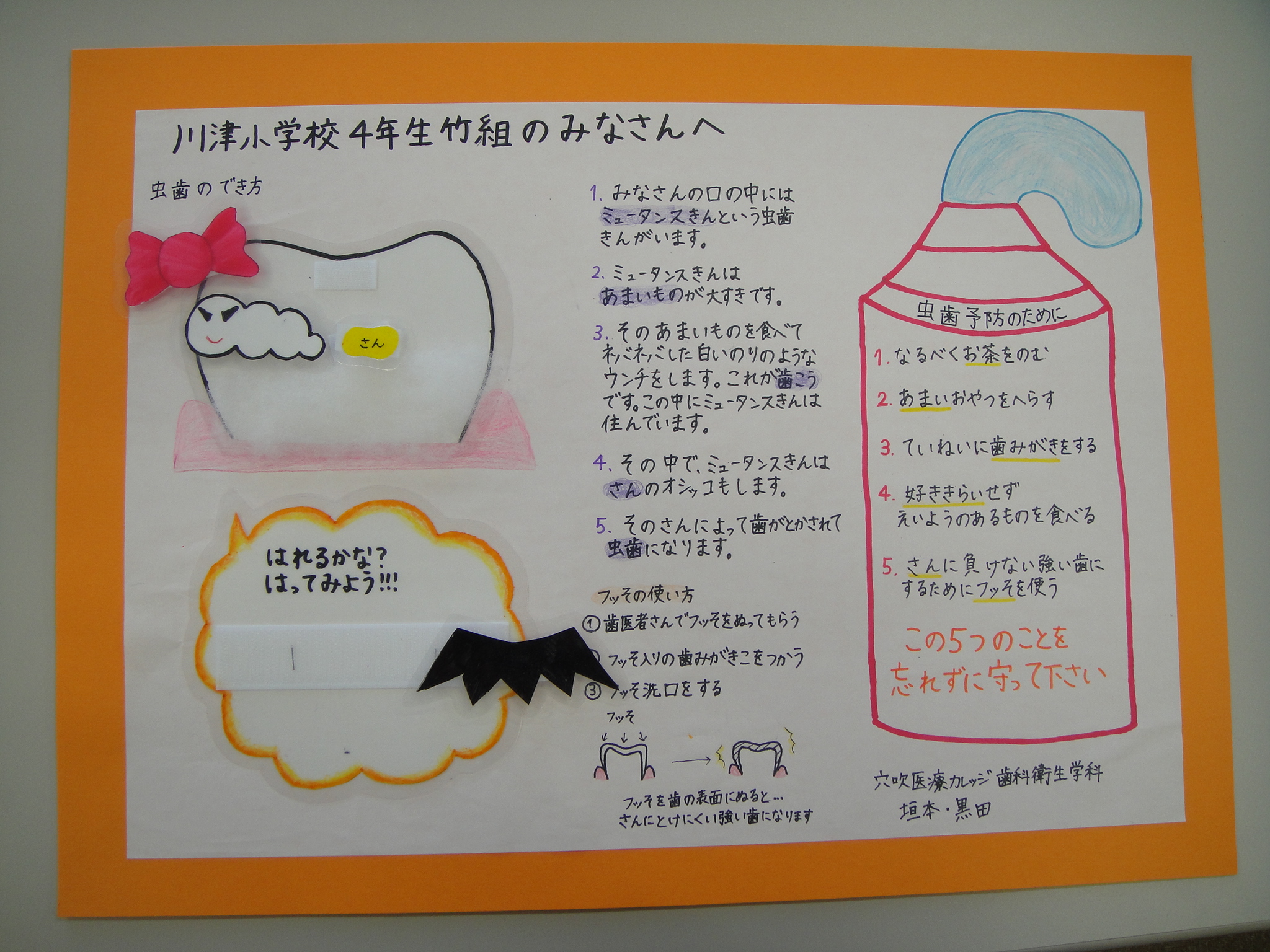 小学校歯科保健指導媒体（13） | hocl