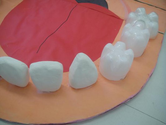 顎模型３