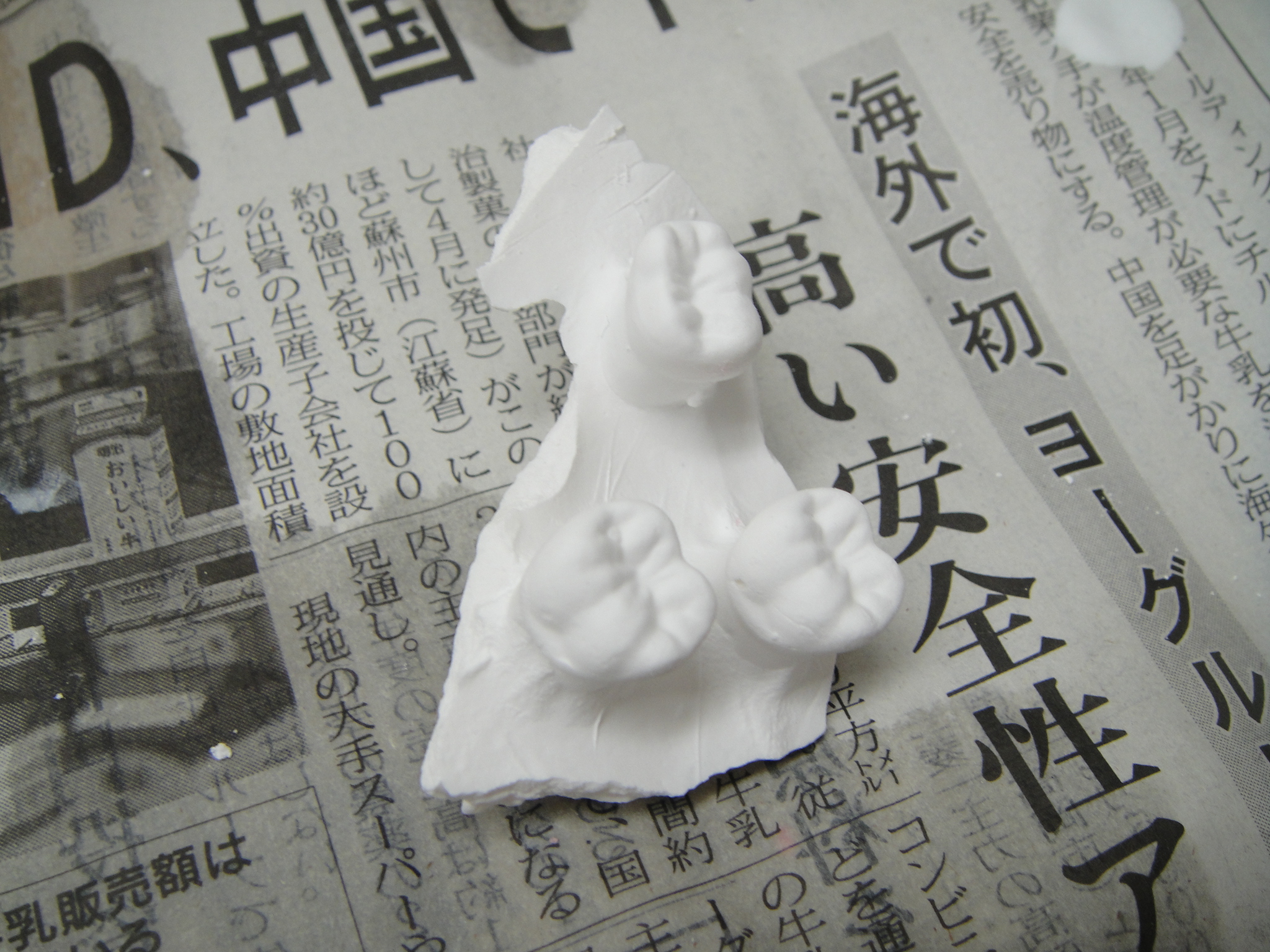 小学校歯科保健指導媒体（8） | hocl
